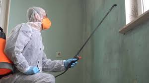 Why You Should Choose Our Mold Remediation Services in Cresson, TX